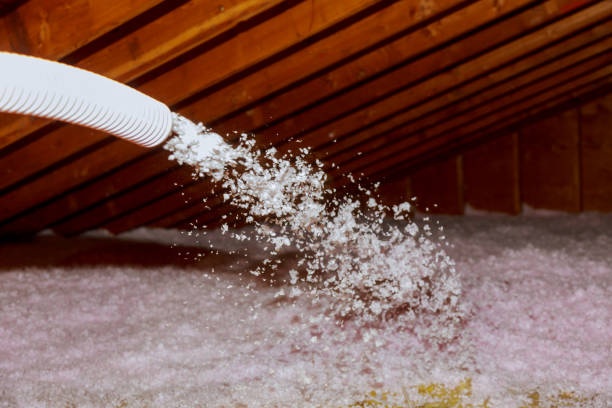 Best Insulation Maintenance and Repair in Tamarac, FL