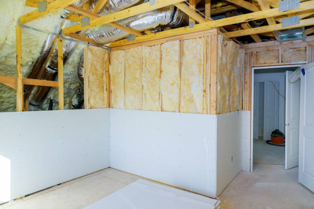 Best Residential Insulation in Tamarac, FL